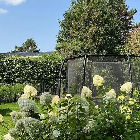 Bad Hoophuizen L-cube 6 Nr Eik 19 Holiday home Hulshorst