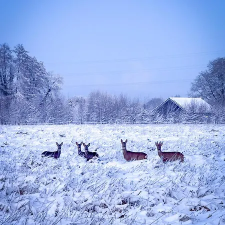 Bad Hoophuizen L-cube 6 Nr Eik 19 * Hulshorst