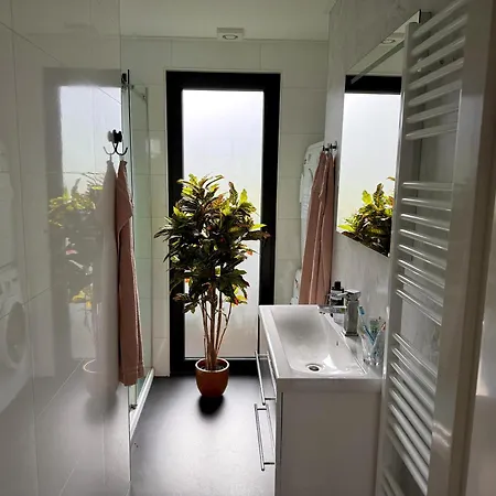 Holiday home Bad Hoophuizen L-cube 6 Nr Eik 19 Hulshorst