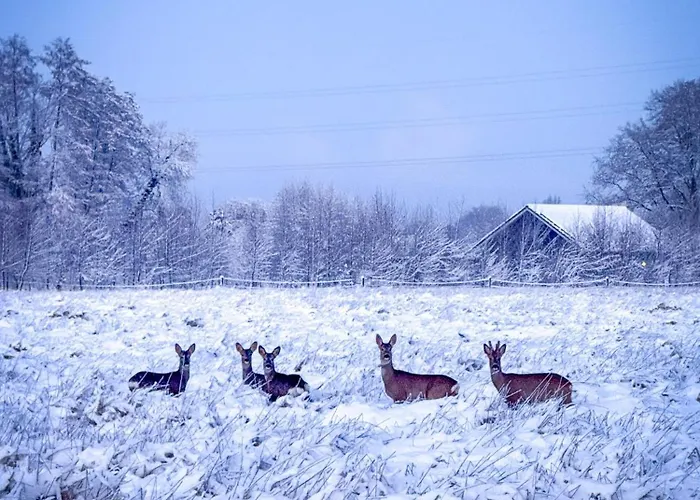 Bad Hoophuizen L-cube 6 Nr Eik 19 * Hulshorst